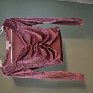 Velvet Ruched Long Sleeve Mini Top